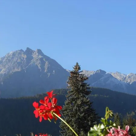 Apartman Steinmann *